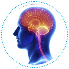 Neuro